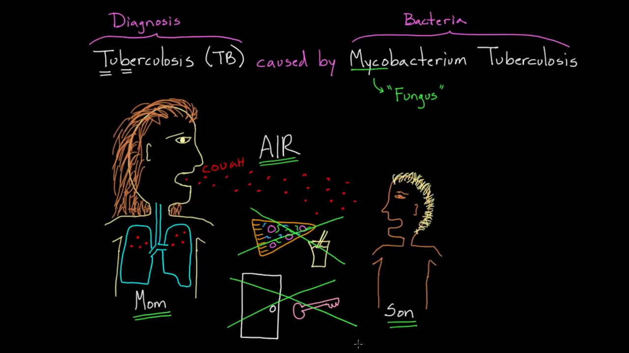 Symptoms and Spread of Tuberculosis哔哩哔哩bilibili