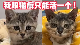 受死吧！犬小孢子菌！