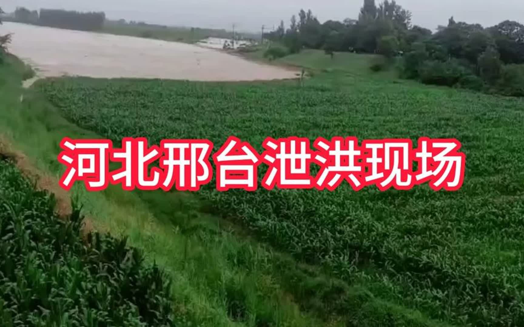 [图]#河北省邢台泄洪 #大水无情人有情#今年粮食涨价吗