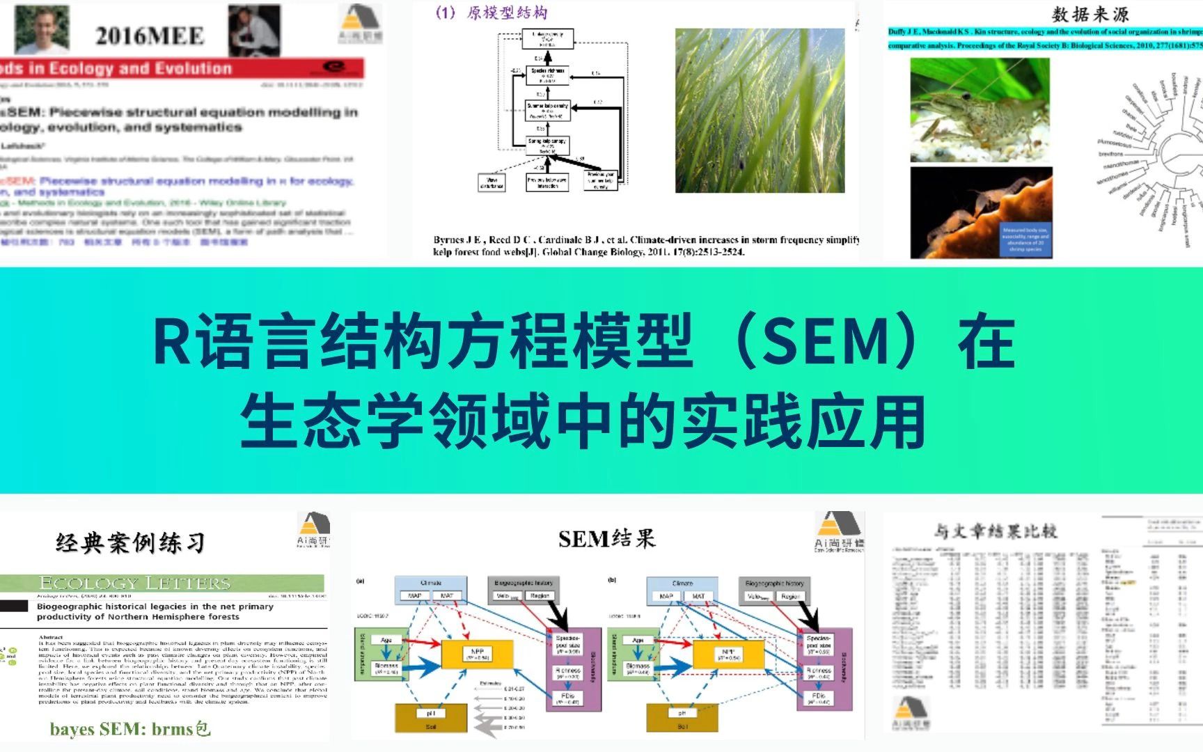 R语言结构方程模型(SEM)在生态学领域中的实践应用/lavaan/复合变量分析/潜变量分析/piecewiseSEM/贝叶斯SEM哔哩哔哩bilibili