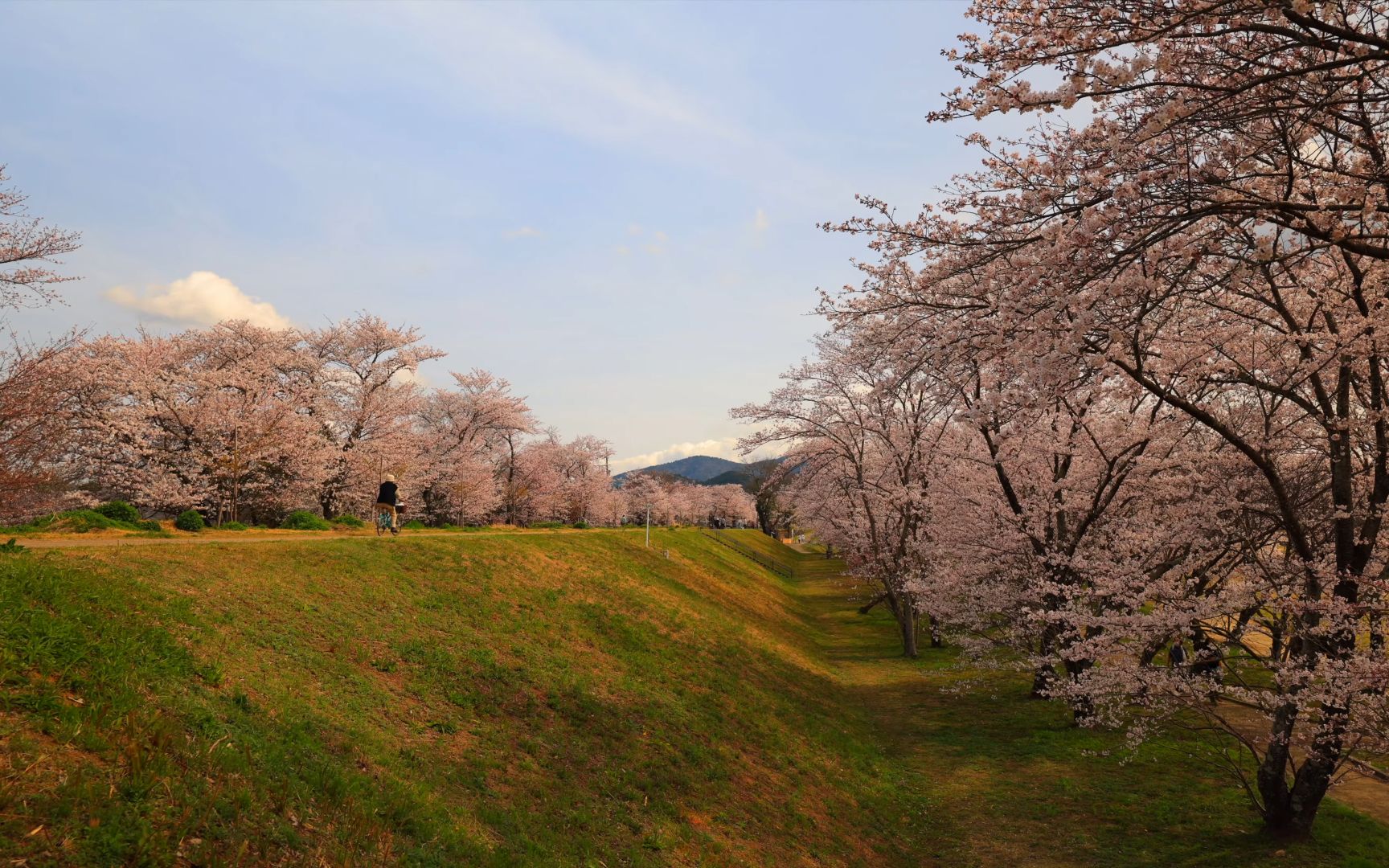 云游世界 丨 日本漫步【4k超清】桃源乡想去春天的三重县的10个