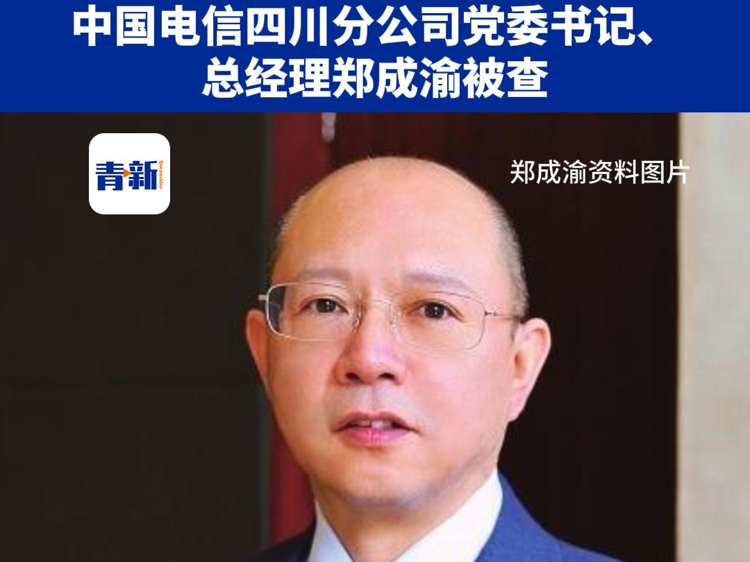 中国电信四川分公司党委书记、总经理郑成渝接受纪律审查和监察调查哔哩哔哩bilibili