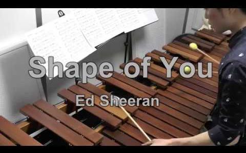 [图]【木琴】Shape of You - Ed Sheeran 马林巴琴演奏【Todo Tube】