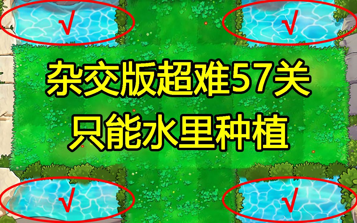 【全网首发】杂交版57关,但陆地无植!植物大战僵尸