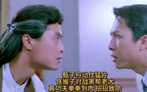 Download Video: 甄子丹动作猛片，铁猴子对战黑帮老大，真功夫拳拳到肉，招招致命。