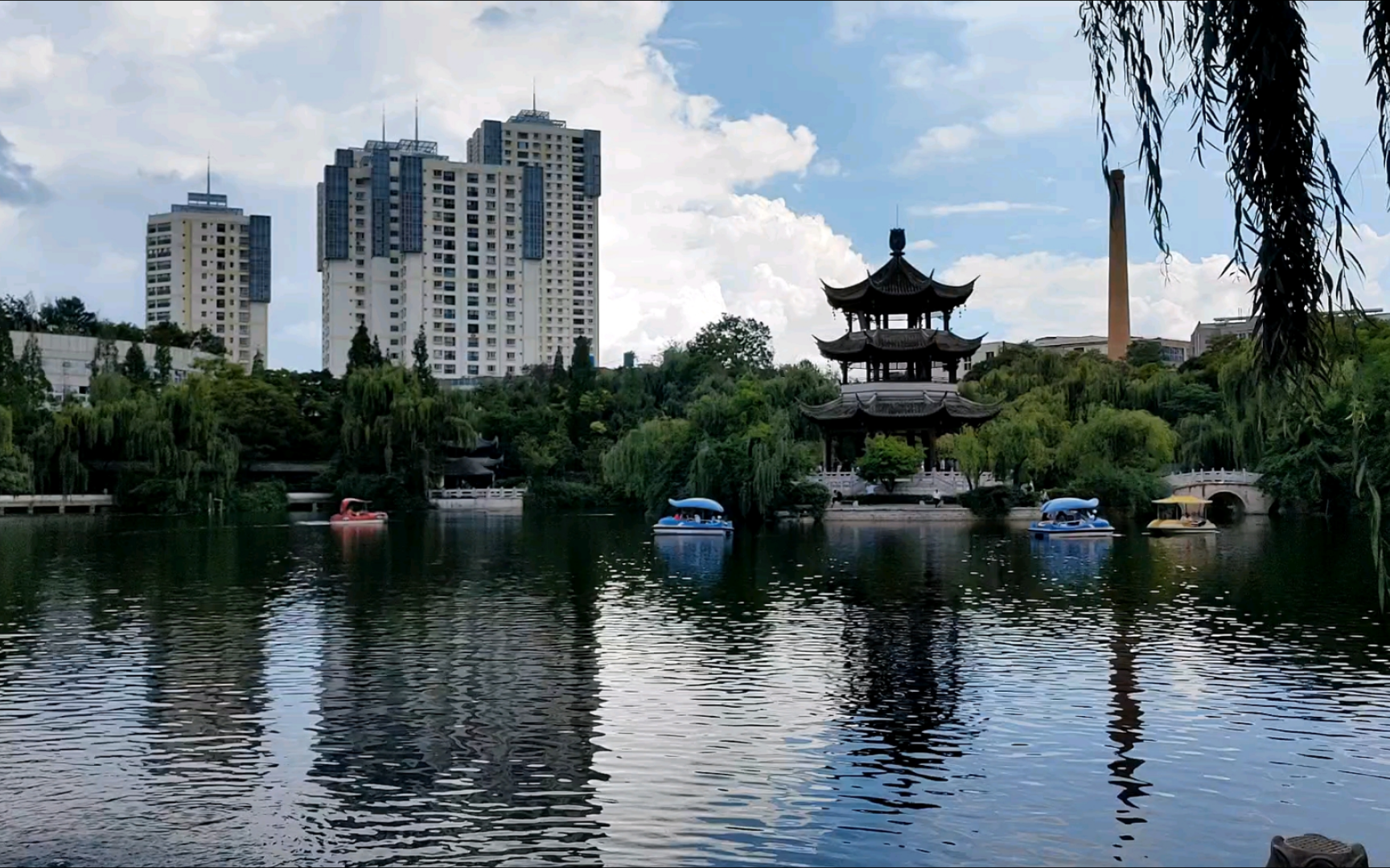 莲花池公园走走