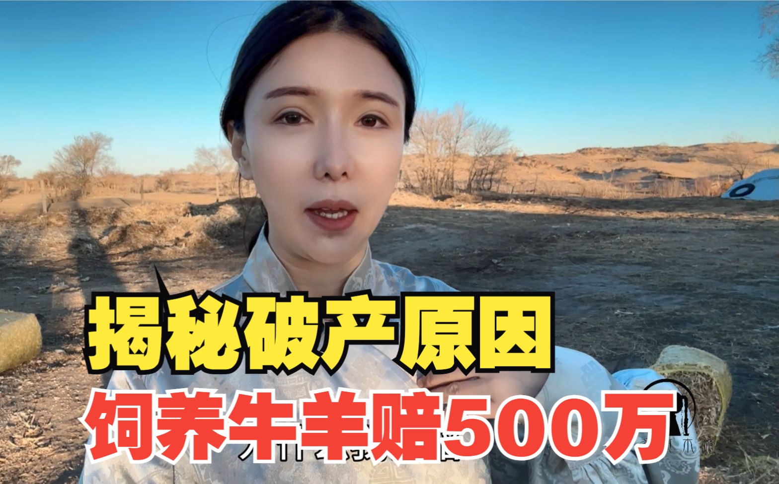 24000亩女牧场主陷入困境,饲养牛羊倒赔500万,揭秘背后原因哔哩哔哩bilibili