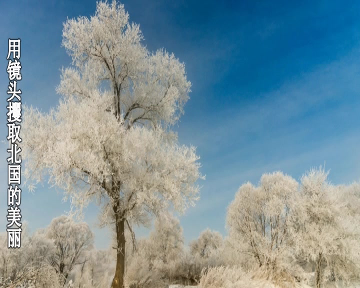 [图]我爱你塞北的雪【老孟口哨】