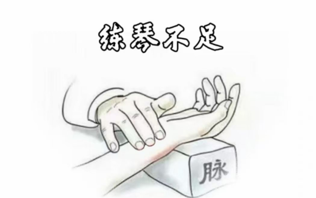 【琵琶】《紫竹调》哔哩哔哩bilibili