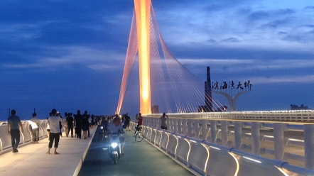东莞长安滨海湾大桥夜景