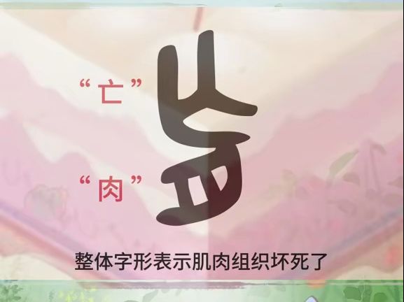 肓, 盲,育,傻傻分不清这个是??哔哩哔哩bilibili