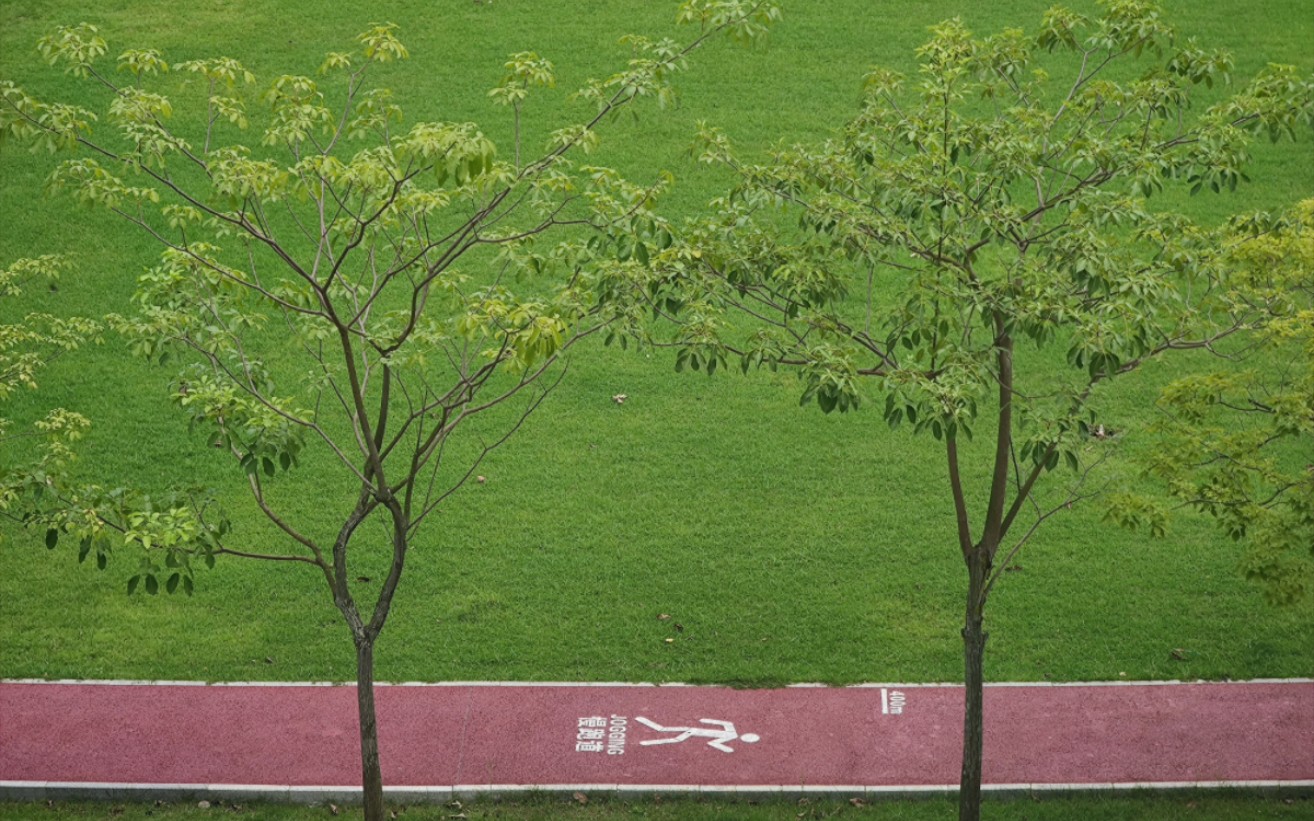 [图]《庄子·知北游》：“人生天地之间；若白驹之过隙；忽然而已。”