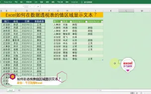 Descargar video: Excel在数据透视表的值区域显示文本