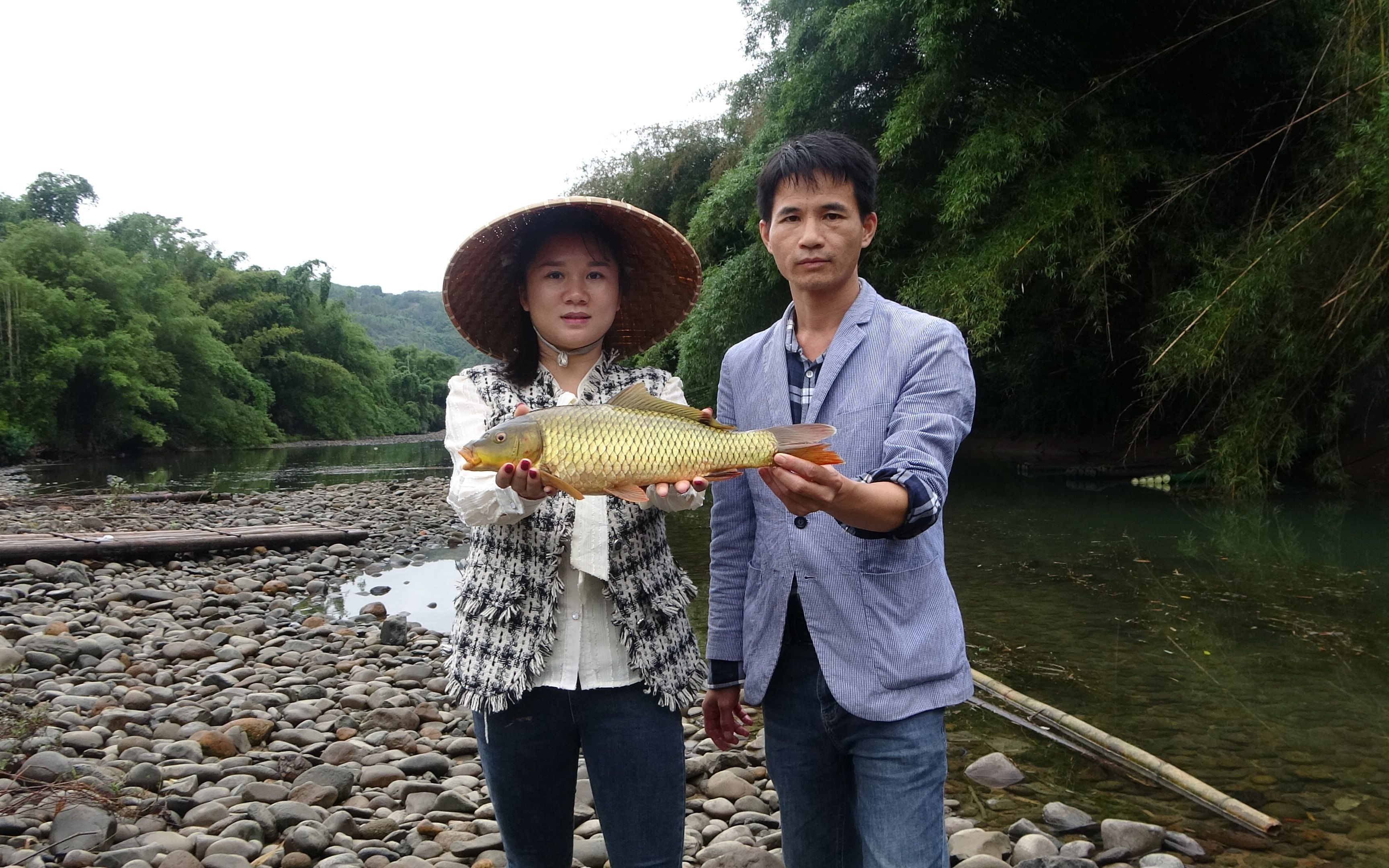 偶遇绝佳钓点,钓上黄金鲤鱼后不淡定了,下面好多百元一斤的靓货哔哩哔哩bilibili