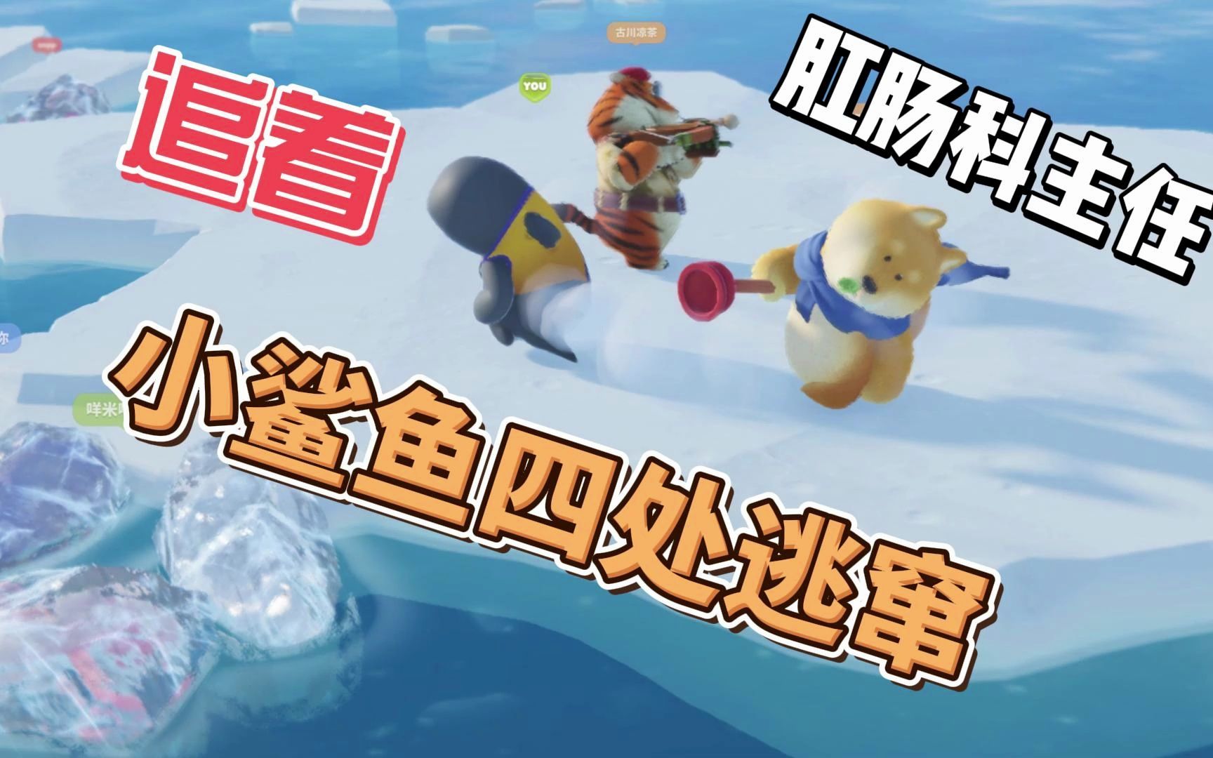 小鲨鱼被老虎打自闭了