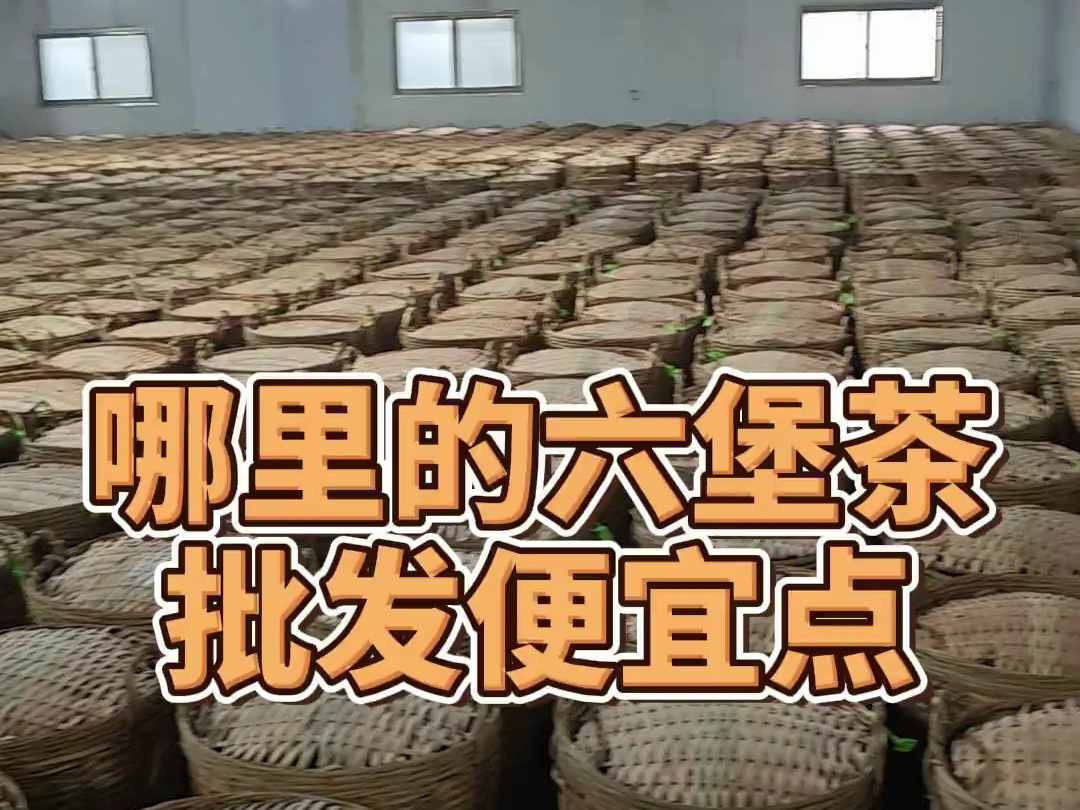 哪里的六堡茶批发便宜点