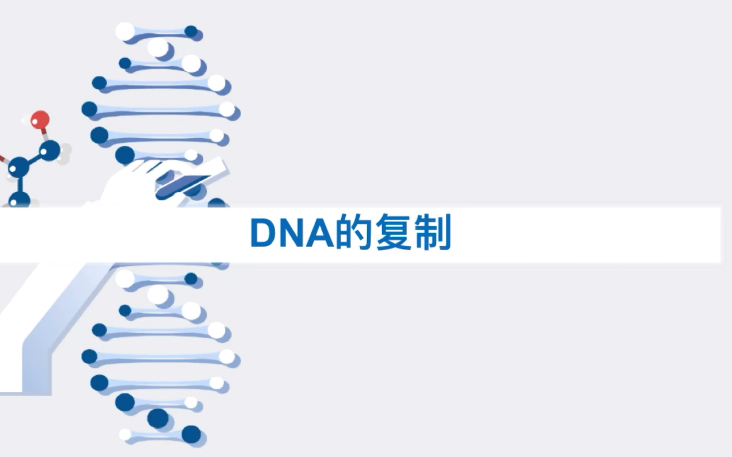 [MY高中生物]DNA复制相关计算哔哩哔哩bilibili