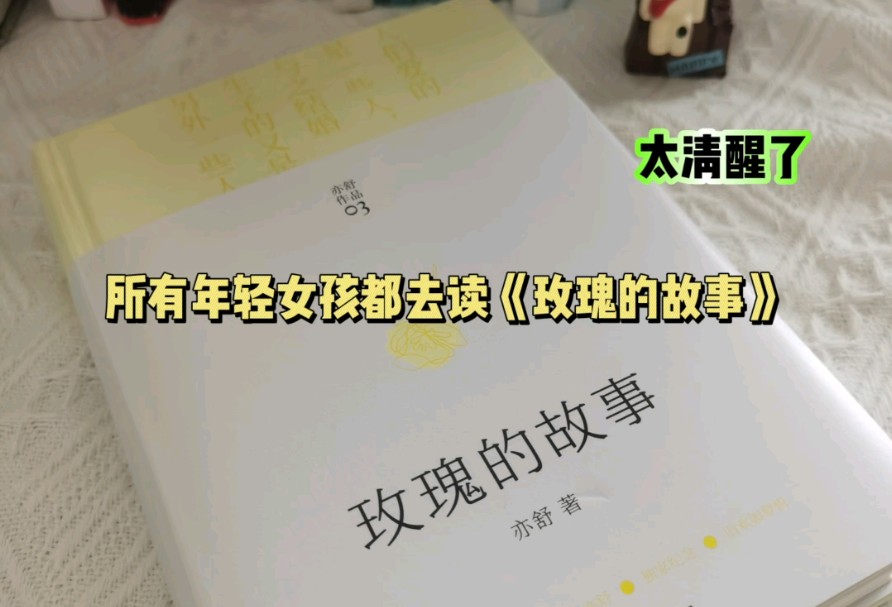 不喜欢阅读的女孩可以读读《玫瑰的故事》纯小说哔哩哔哩bilibili