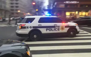 Download Video: 【FBI】联邦调查局K9单位探险者警车