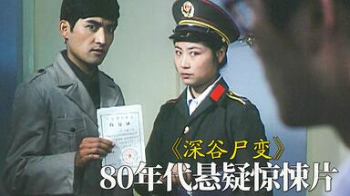 甄子丹版《洪熙官》，被遗忘的亚视武侠剧经典【迷影映画】_哔哩