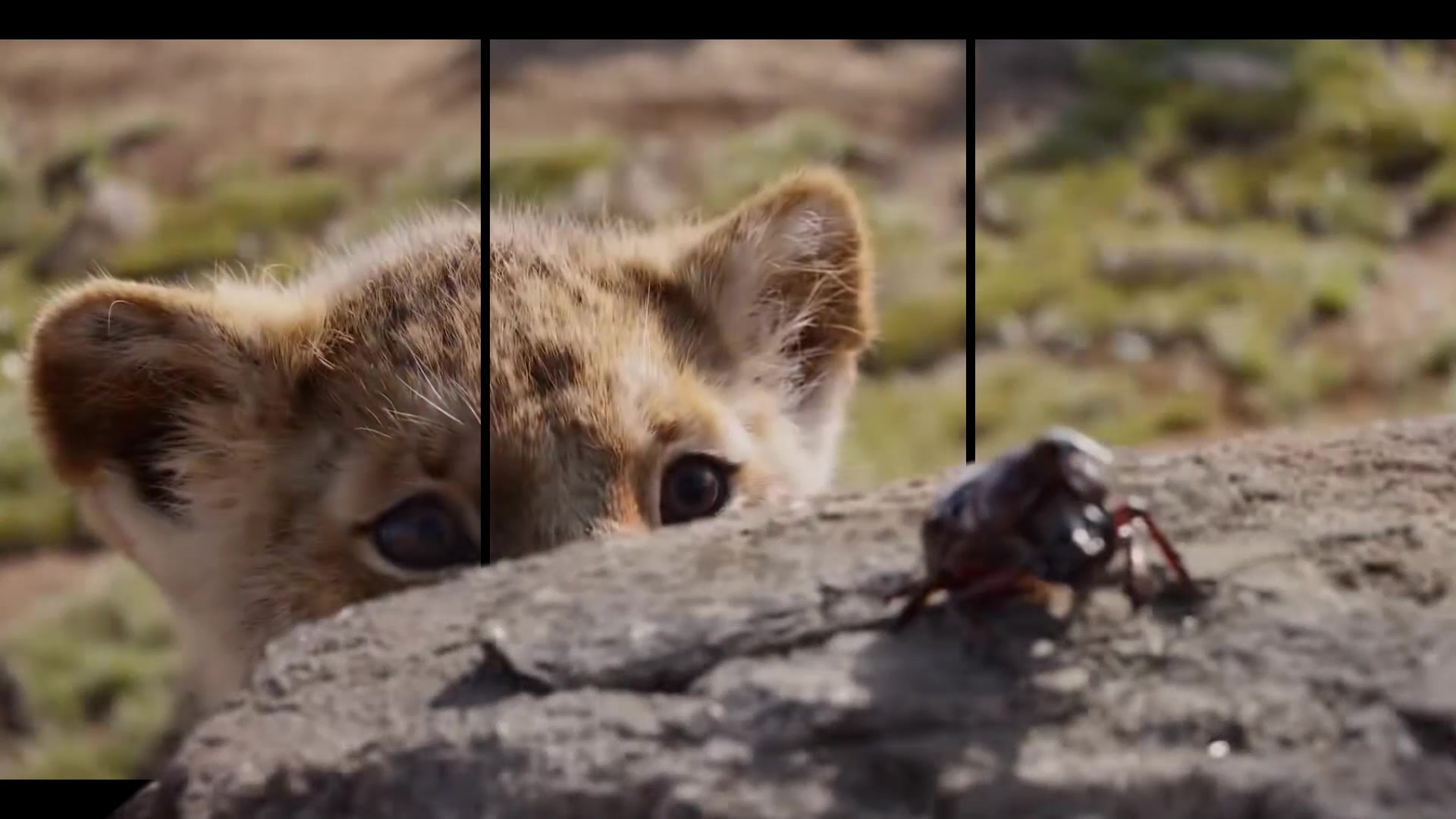 裸眼3d效果下的狮子王(预告)