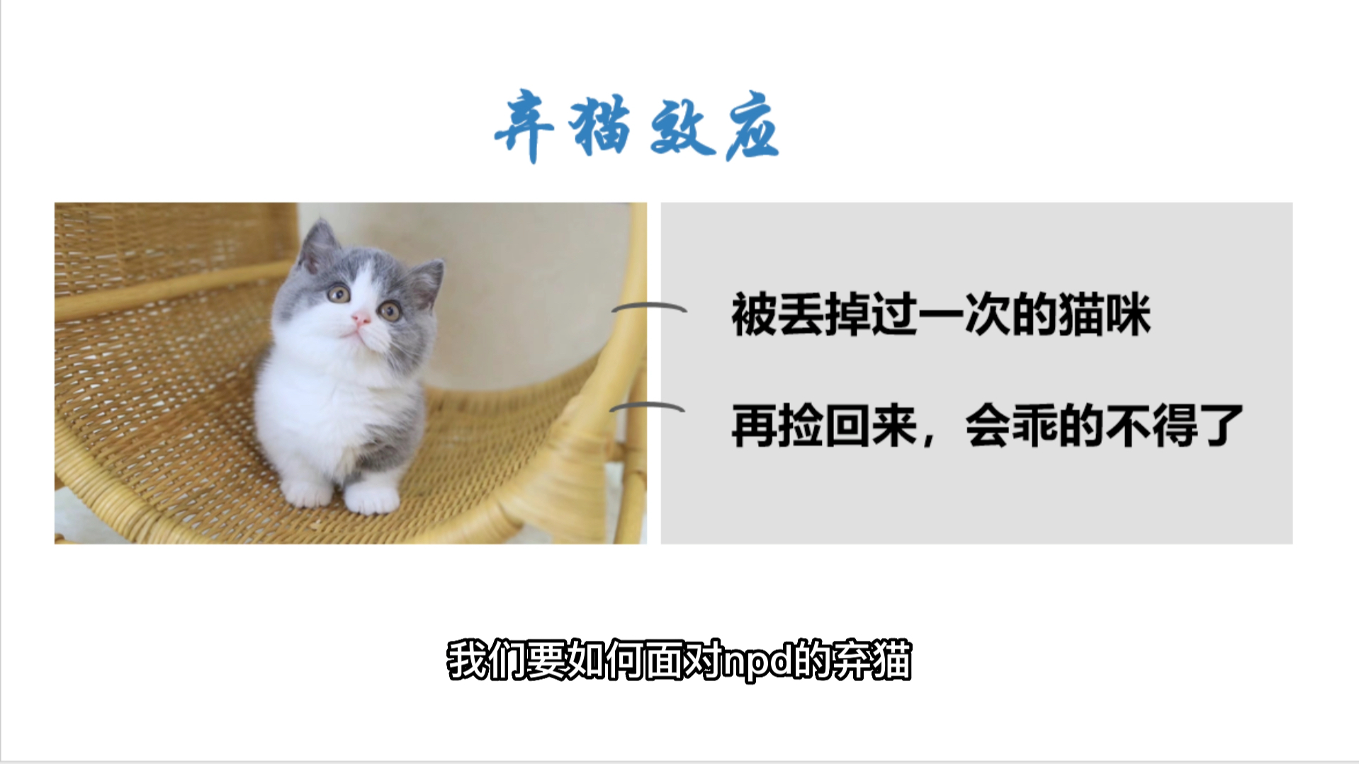 [图]NPD操控人心术之弃猫效应