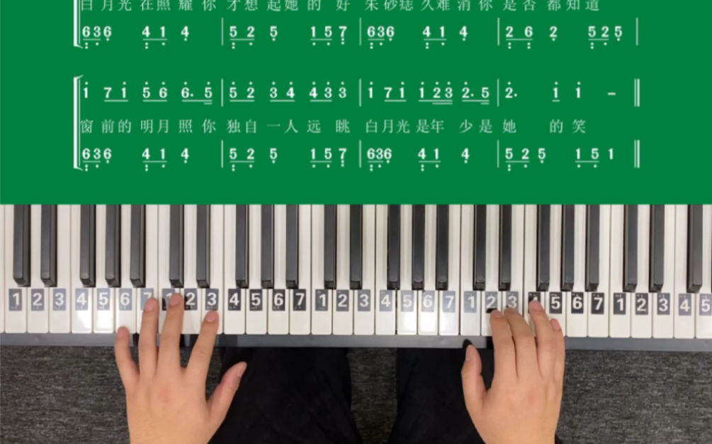白月光与朱砂痣完整版钢琴教程流行音乐白月光在照耀朱砂痣久难消