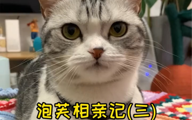 泡芙这次见到安生了 关系好像缓和了一丢丢#v