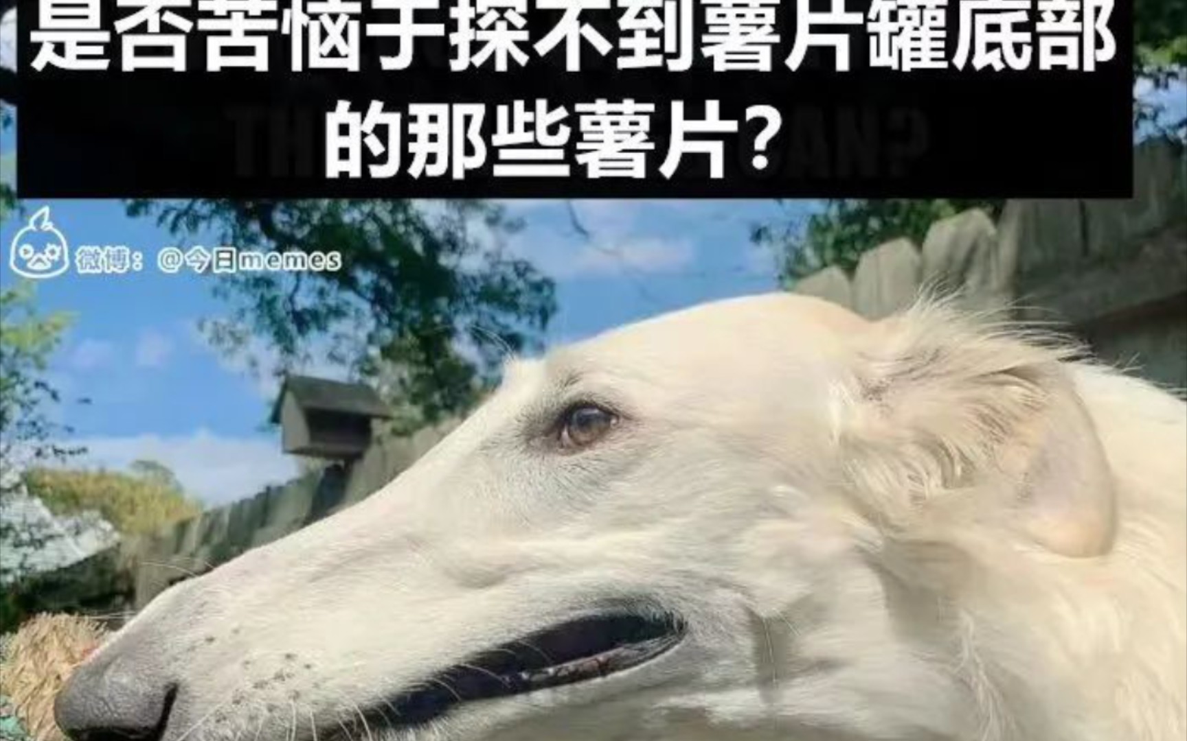 伄图一堆的图片图片