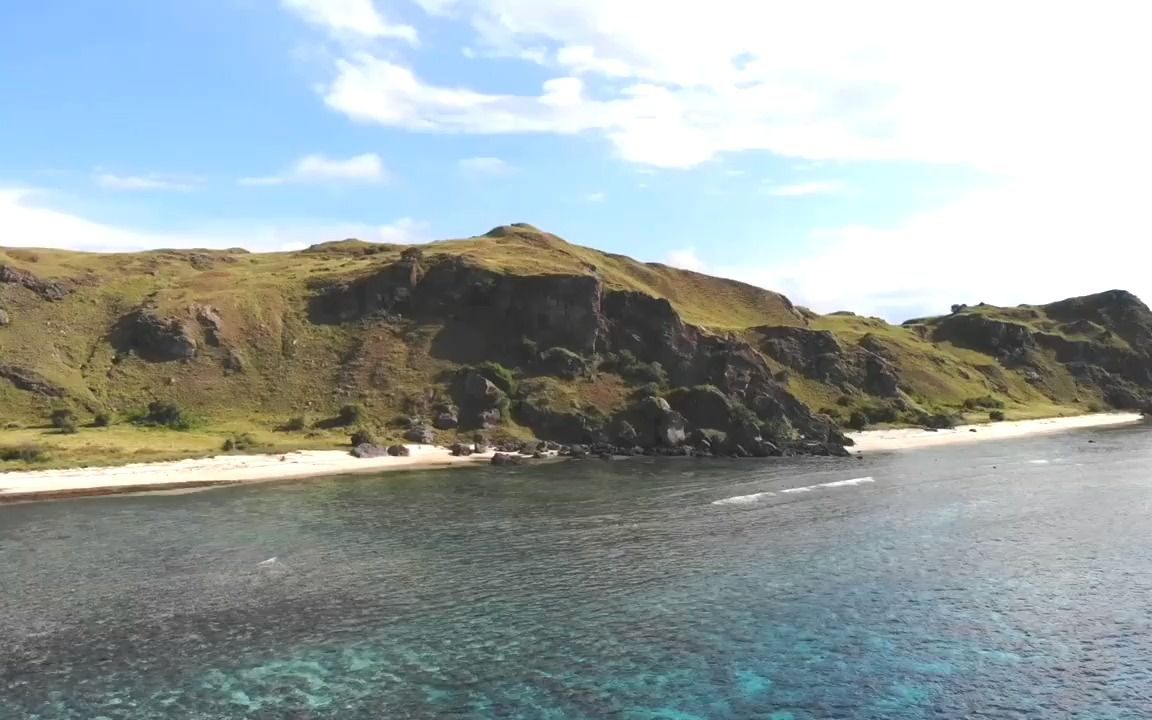 海上遇到科莫多龙,赶紧把相机放进水里,史前巨蜥游泳姿态好霸气