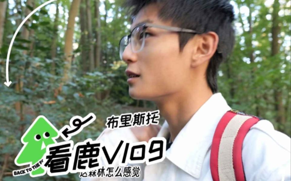 [图]留学Vlog | 奈良平替，布里斯托寻鹿