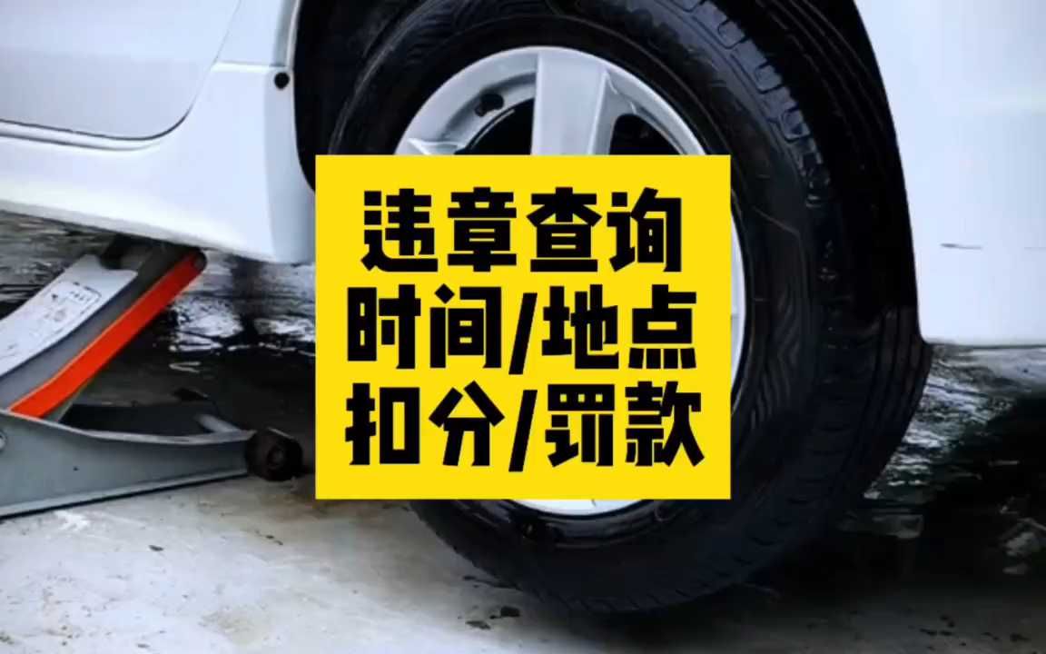 怎么快速查违章信息,不是自己的车怎么查违章哔哩哔哩bilibili