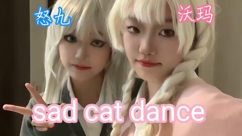 Sad Cat Dance_哔哩哔哩_bilibili