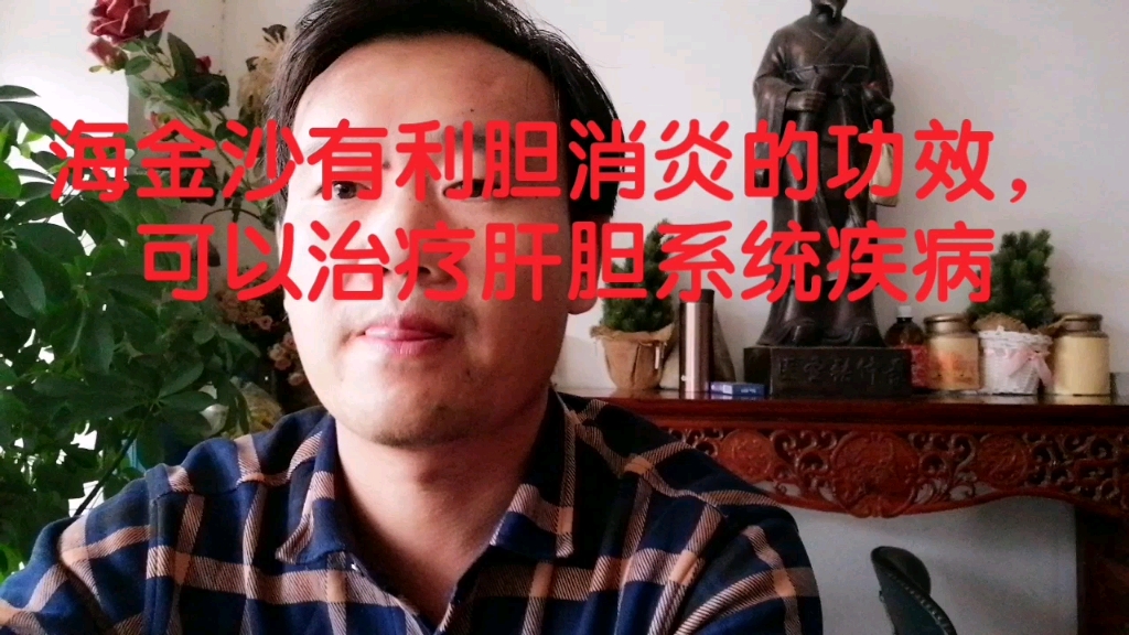 海金沙有利胆消炎的功效,可以治疗肝胆系统疾病哔哩哔哩bilibili