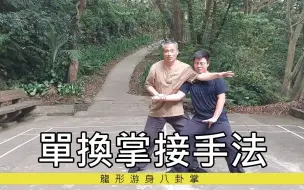 Download Video: 八卦掌~龍形用法 #八卦掌#形意拳 #五行拳 #傳統武術 #養生#氣功#baguazhang #kungfu#Taichi #xingyiquan#qigong