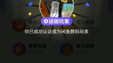 认证闲鱼玩家!成功!哔哩哔哩bilibili