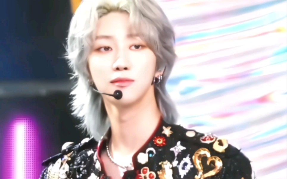 【徐明浩】银发小缅因猫