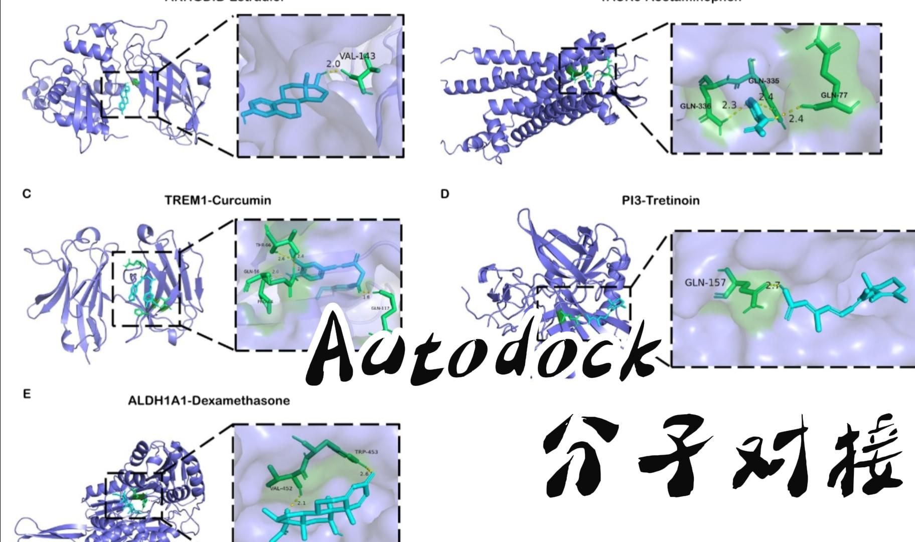 autodock分子对接教程哔哩哔哩bilibili