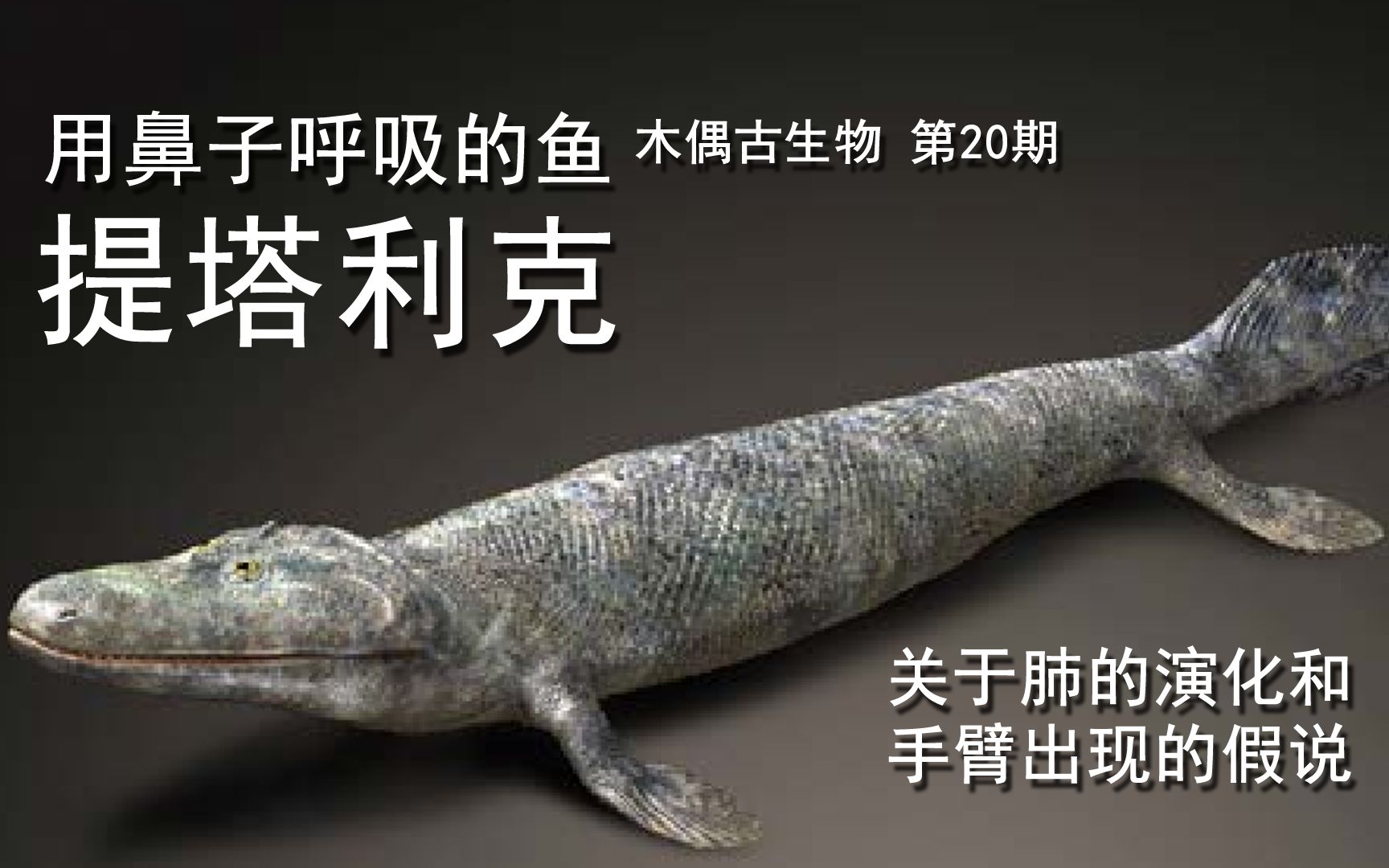 古生物提塔利克木偶古生物第19期