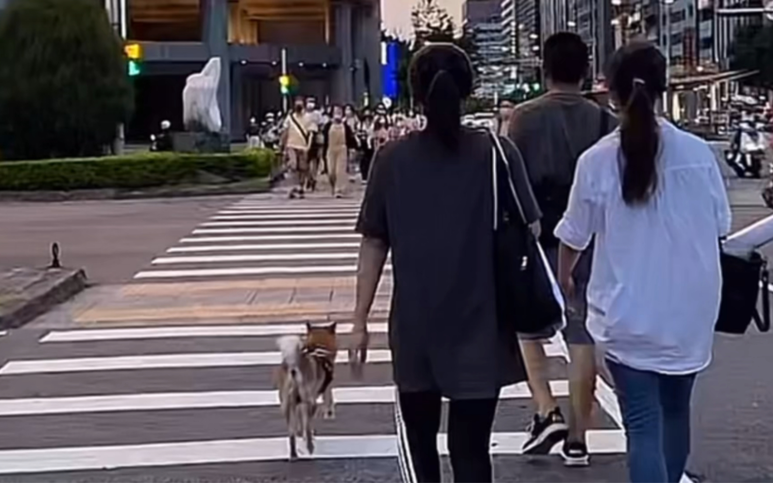 中国台湾现状如何呢?来看看网友分享的台北市南京路小巨蛋高峰期哔哩哔哩bilibili