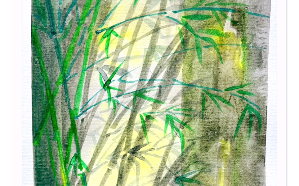 水彩颜料画透光的竹林