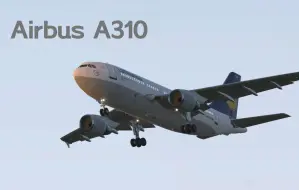 Tải video: 自认为免费机模的精品——Airbus A310