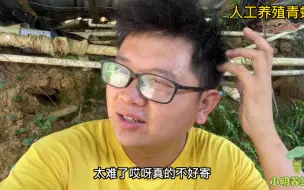 Download Video: 这段时间寄蛙真的亏死了！今天重新改进包装试试，失败了就不寄了