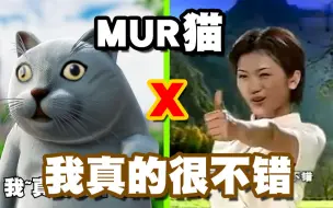 Mur猫猫拳bb Mp4 哔哩哔哩 つロ干杯 Bilibili