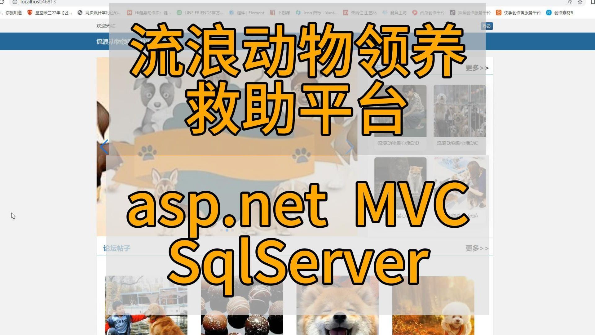 (计算机毕业设计)基于asp.net mvc的流浪动物领养救助平台设计与实现计算机毕业设计、Javaweb网站系统小程序项目程序代做哔哩哔哩bilibili