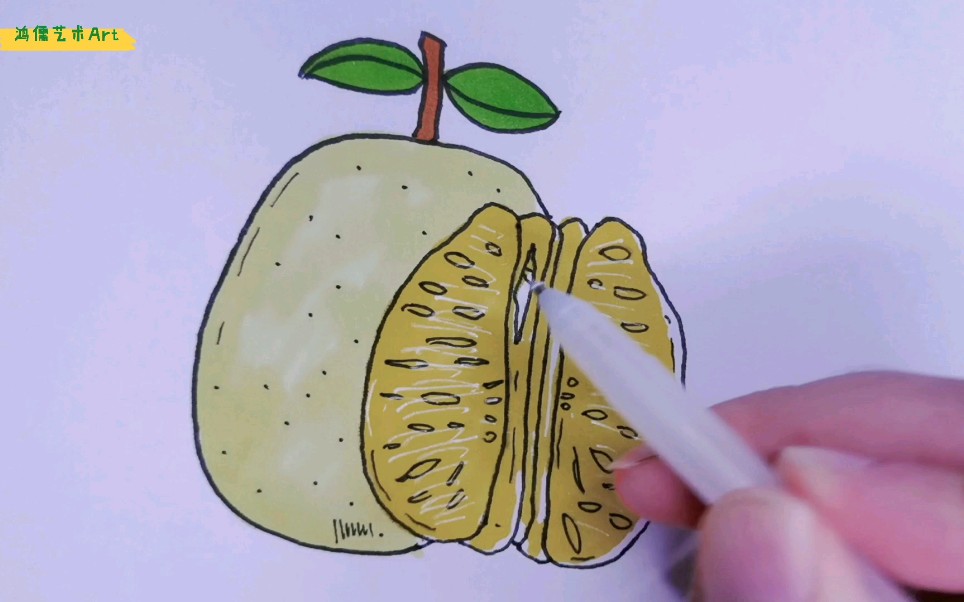 活动  简笔画教程:柚子的简单画法