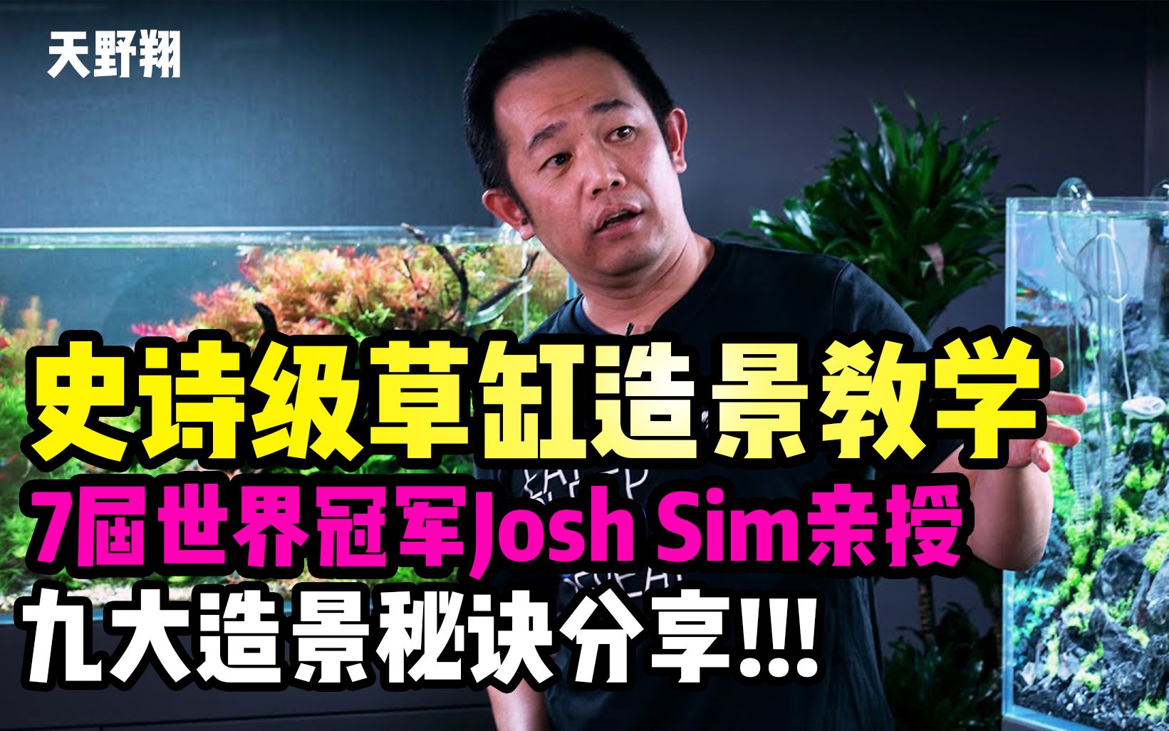 [图][中文精翻] 草缸造景史诗级大师课 7届世界冠军Josh Sim 9大造景秘诀分享