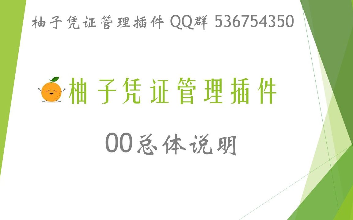 00总体说明金蝶用友1秒导入5000张发票凭证 柚子凭证管理插件 QQ群 536754350哔哩哔哩bilibili