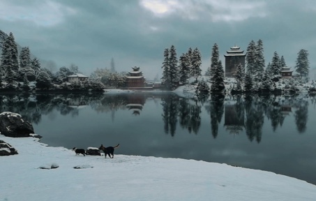 [图]2022年接近尾声的第一场雪，祝愿看到此景的朋友们开心快乐