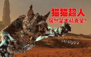 Descargar video: 【战锤3 陆战】Crabling木精登场，两只猫猫居然是全场救星？